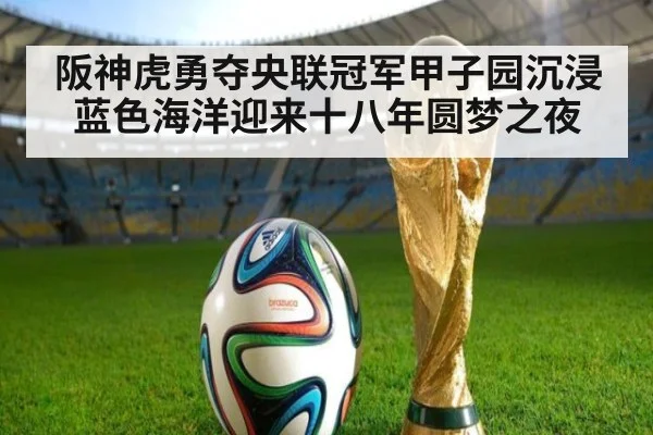 阪神虎勇夺央联冠军甲子园沉浸蓝色海洋迎来十八年圆梦之夜